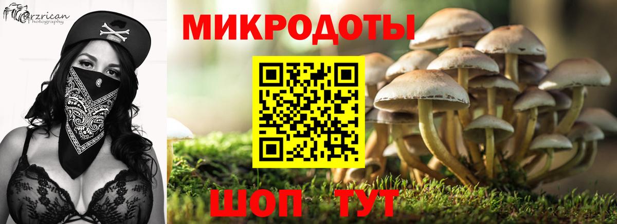 Псилоцибиновые грибы MAGIC MUSHROOMS  Вход с VPN  Черкесск 