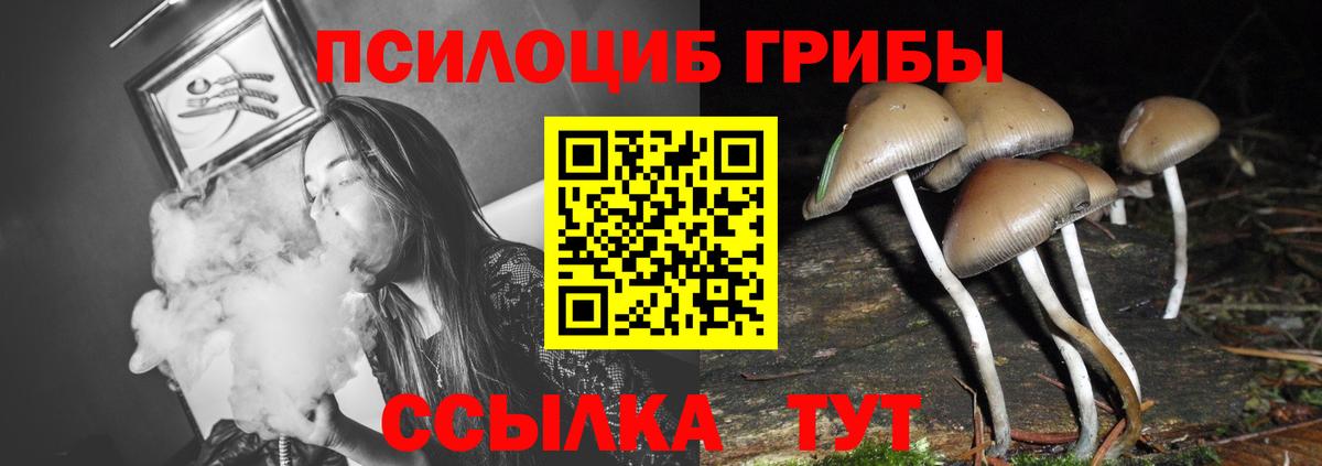 Галлюциногенные грибы ЛСД Черкесск